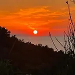 Silvana