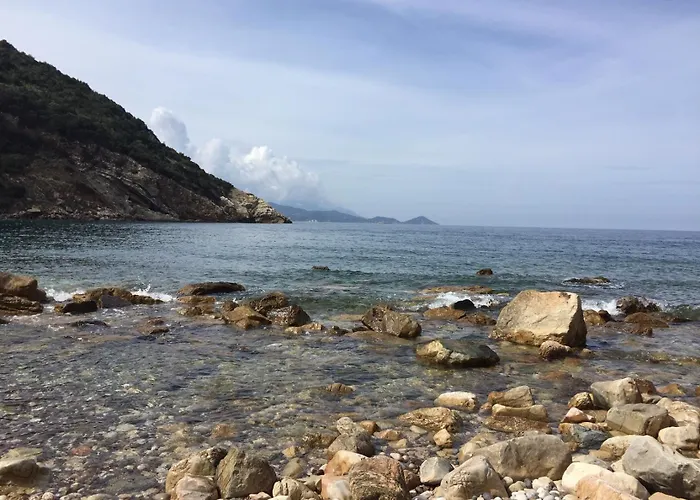 Lejlighed Silvana Nisporto